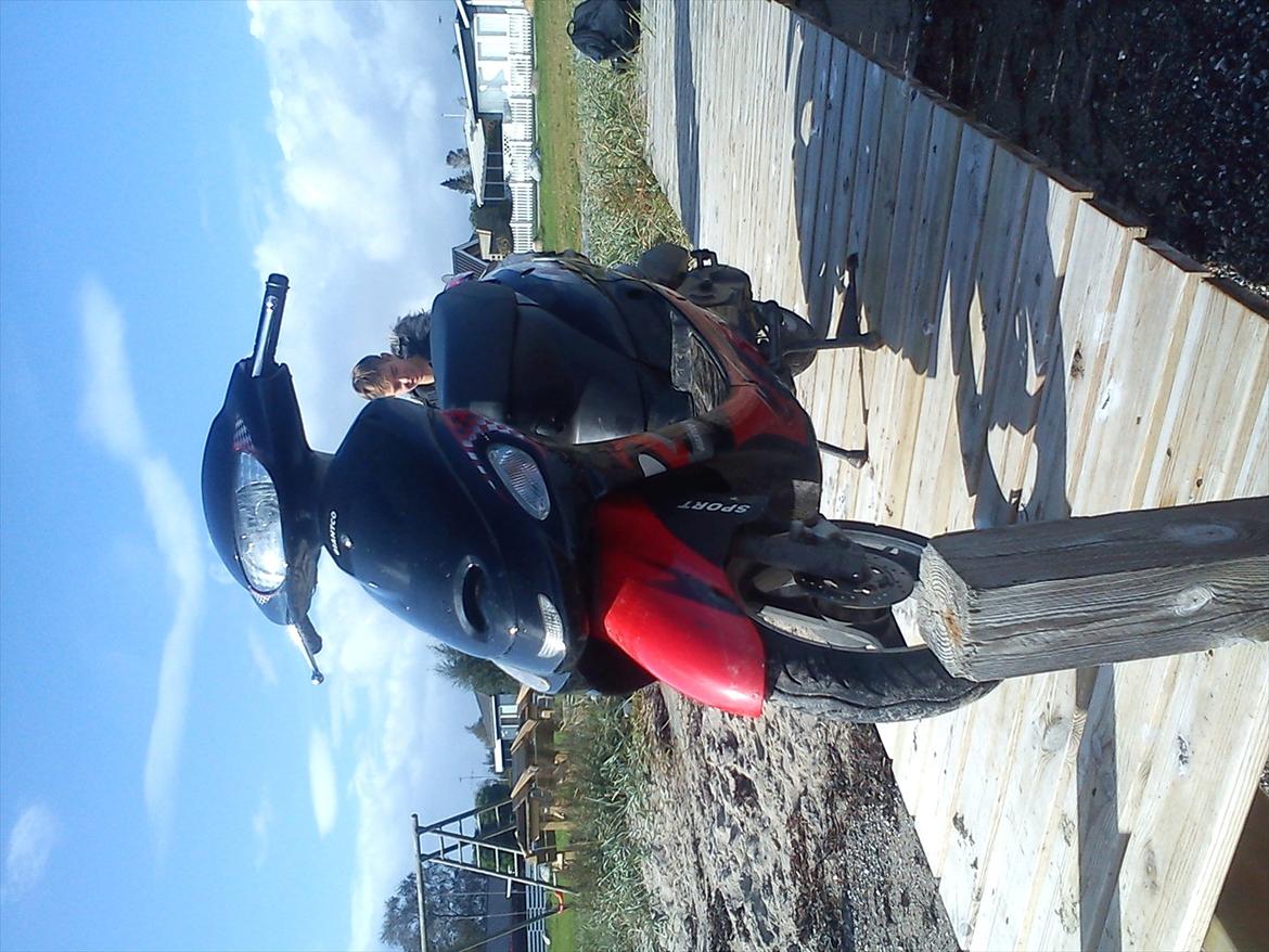 Giantco Sprint billede 7