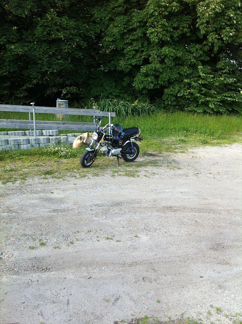 Skyteam dax billede 8