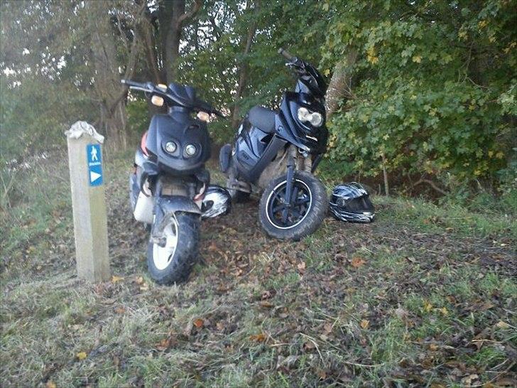 Peugeot tkr billede 6