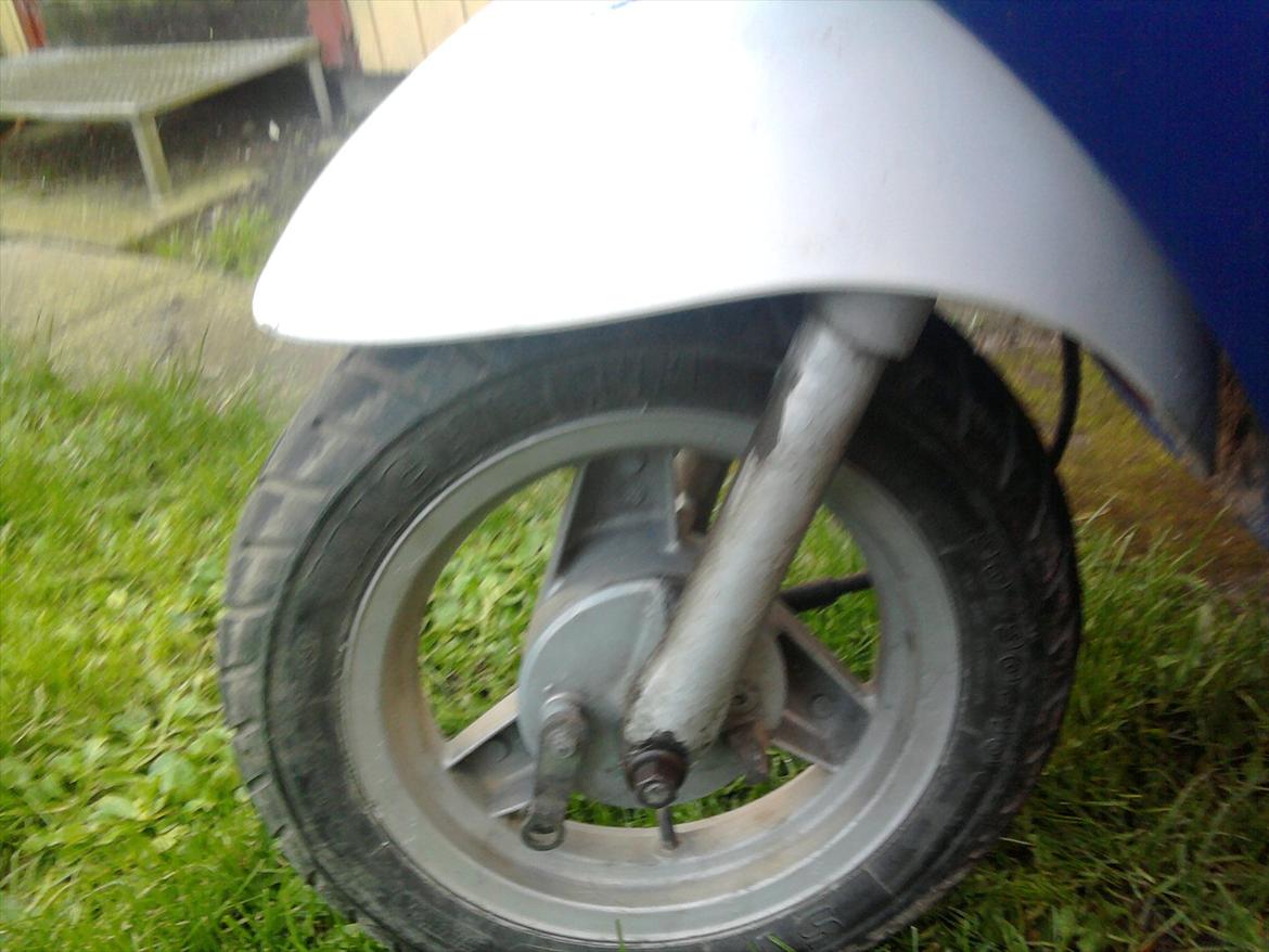 Piaggio old zip billede 11