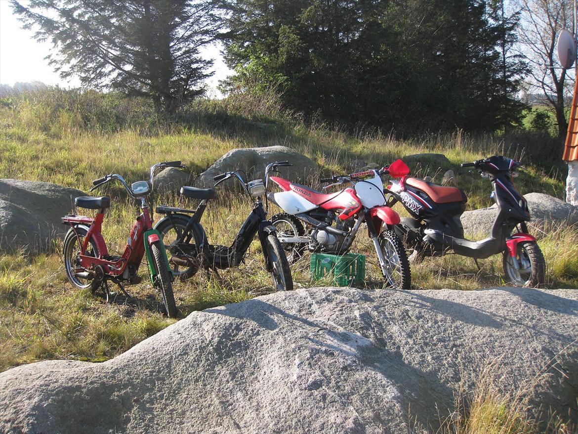 Vespa Ciao  billede 14