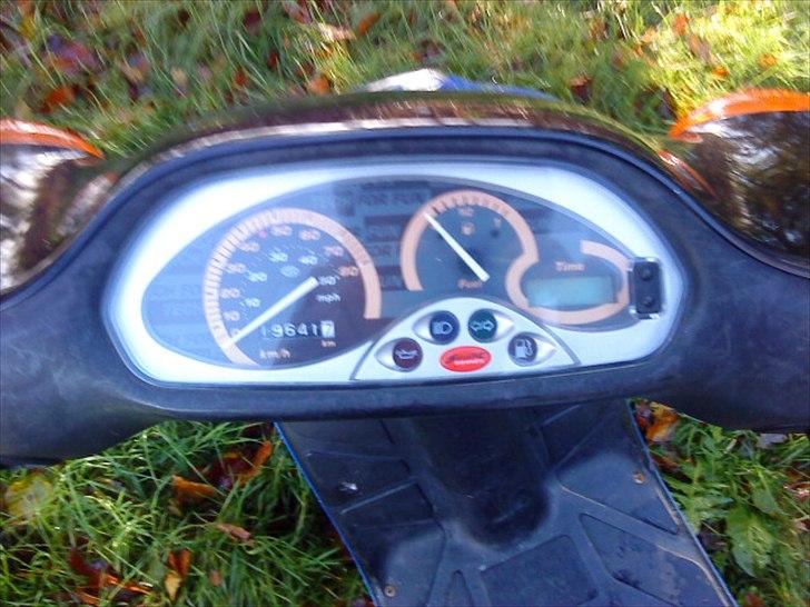 Piaggio Typhoon AC SD - SOLGT - Motoren har ikk gået 19000 det er kun speedoen der har det. :D billede 2