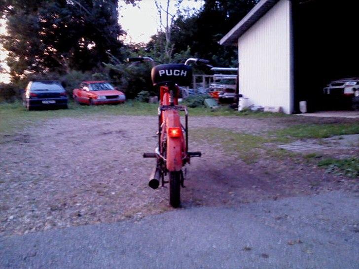 Puch maxi k (min onkels) billede 4