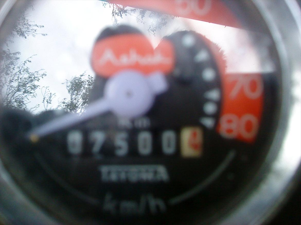 Vespa Ciao Pasta Negra AC ND - 7500 km!
Den kører faktisk næsten speedo'et ud... ned af bakke :) billede 13
