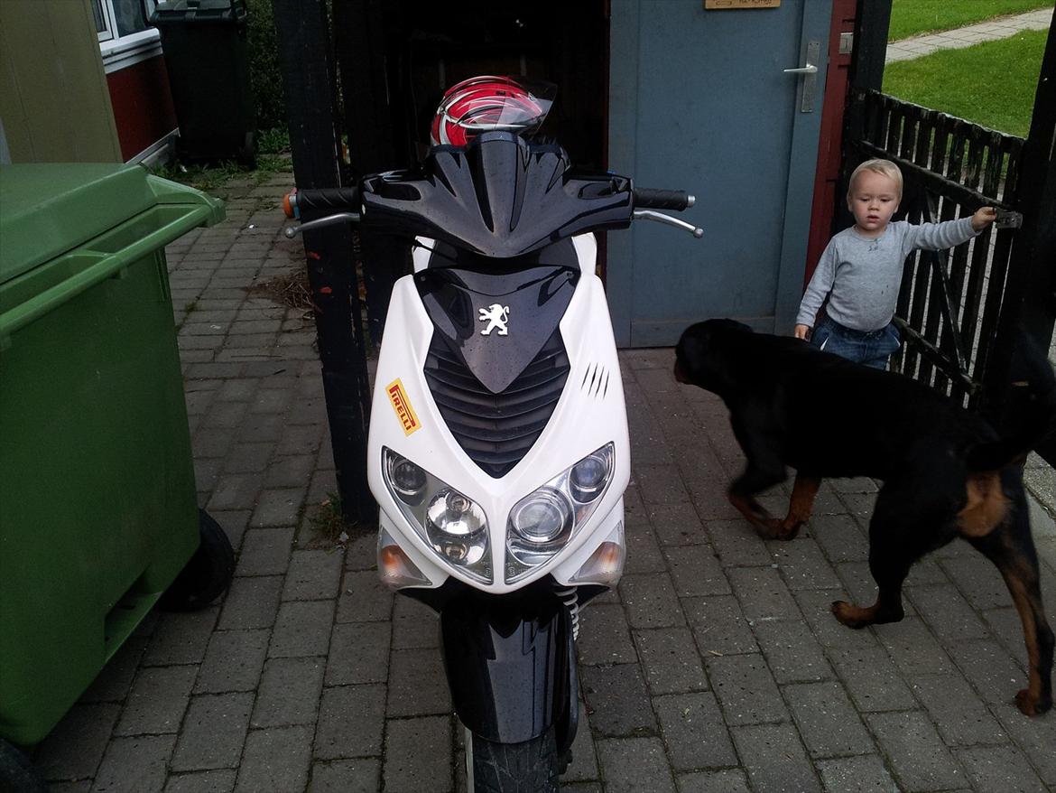 Peugeot speedfigt 2 (solgt) billede 11