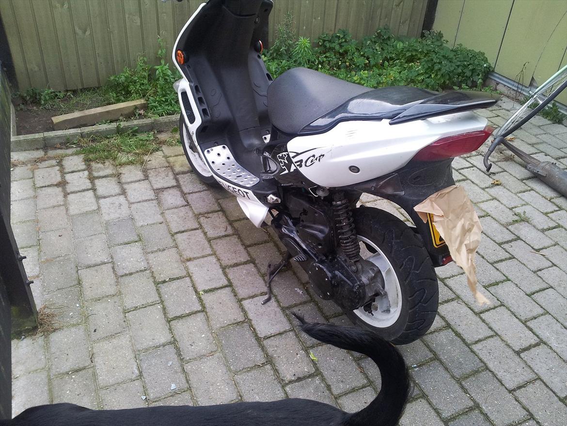 Peugeot speedfigt 2 (solgt) billede 16