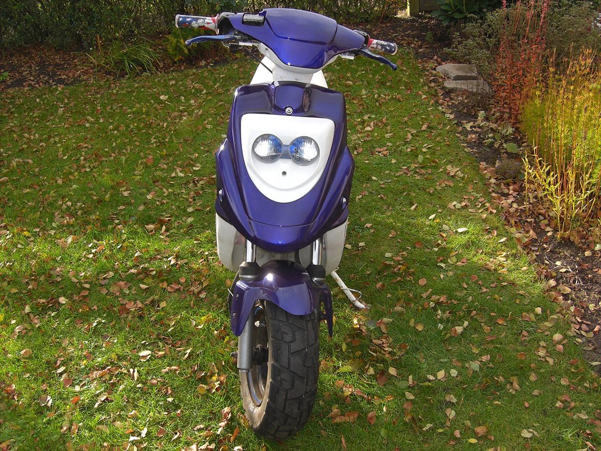 PGO Hot 50 - TIL SALG TIL HØJST BYDENDE!!!! - Til salg!!! billede 2