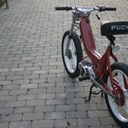 Puch maxi k