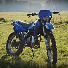 Suzuki Rmx