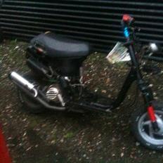 Piaggio zip GL - Italy race 47,6 < AC > splittet 