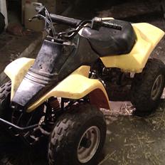 Kazuma meerkat 110cc 