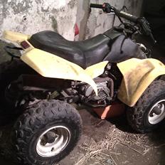 Kazuma meerkat 110cc 