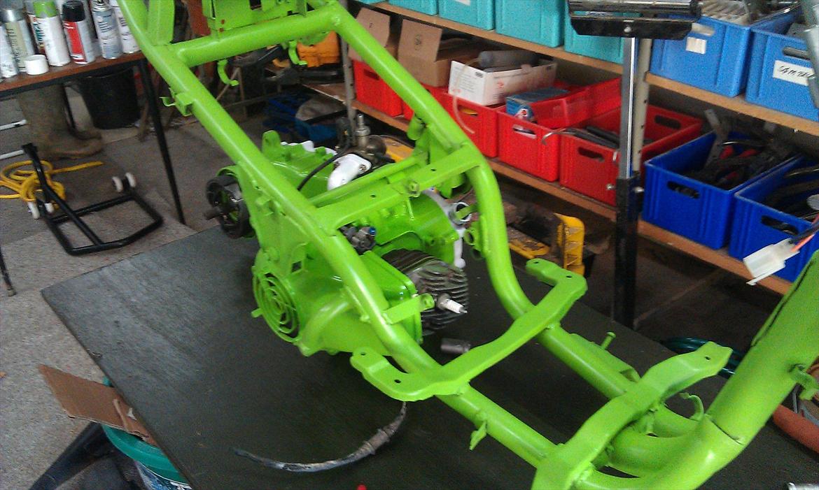 PGO hot 50 (projekt) billede 5