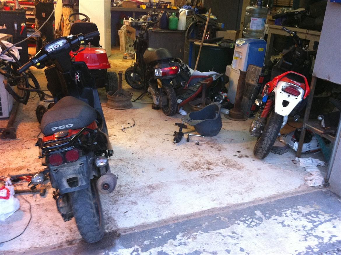 PGO Hot50 HotteLiis! billede 2