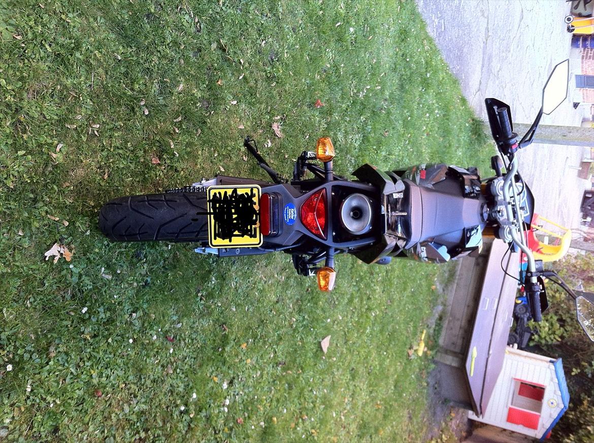 Generic Trigger SM Solgt billede 3