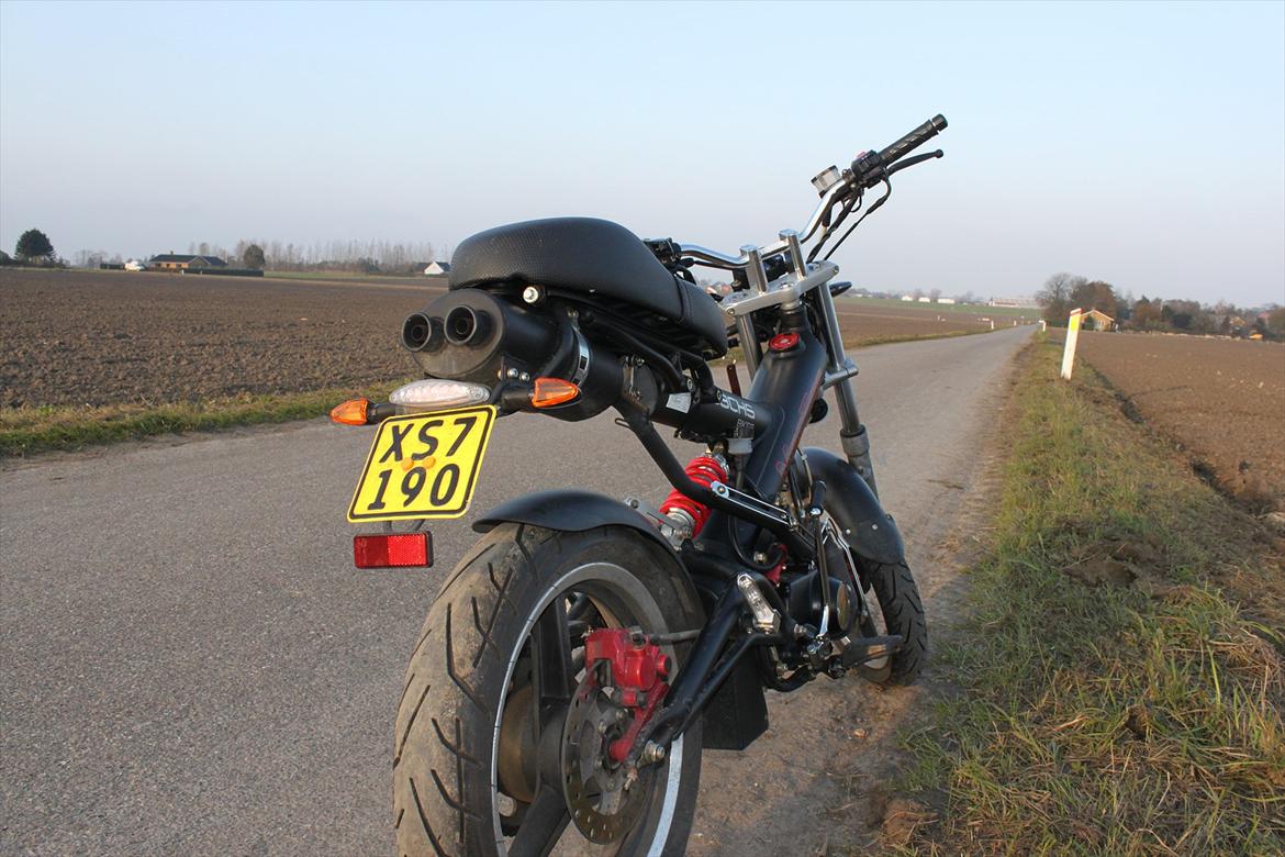 Sachs Madass AC DD (Solgt) billede 5