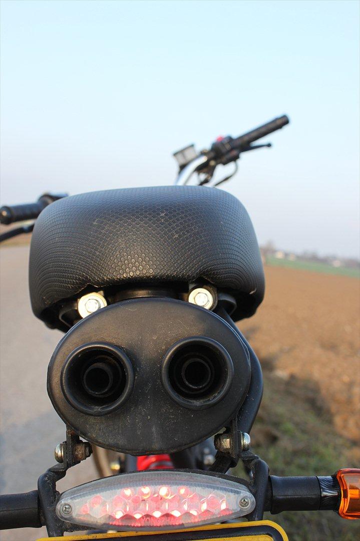 Sachs Madass AC DD (Solgt) billede 8