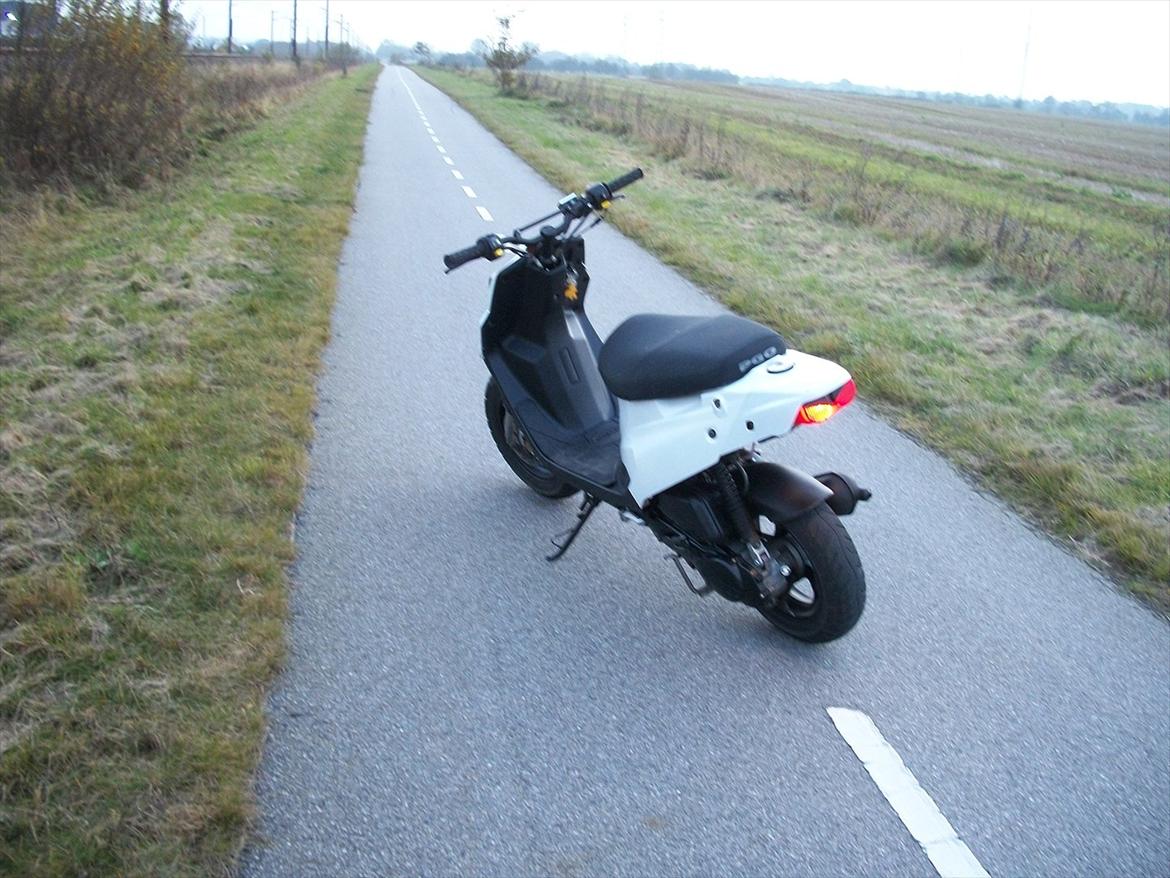 PGO Hot 50 perlemor  billede 6