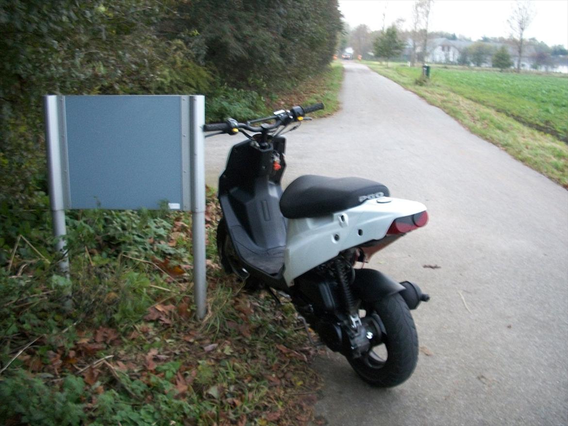 PGO Hot 50 perlemor  billede 8