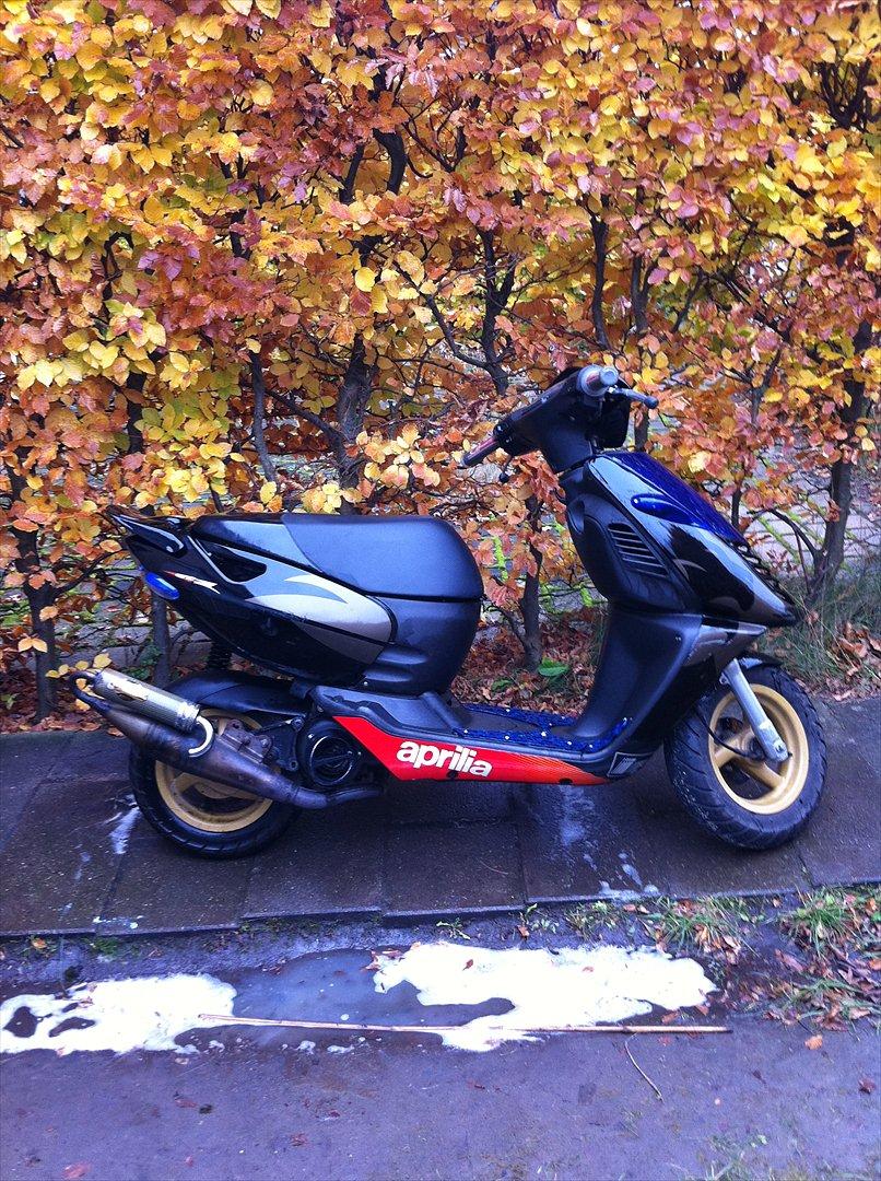 Aprilia sonic ''Gaderacer'' - Dengang den havde top performance nardo på har dog kun kørt få gange med det da den havde dårligt optræk med det  billede 14