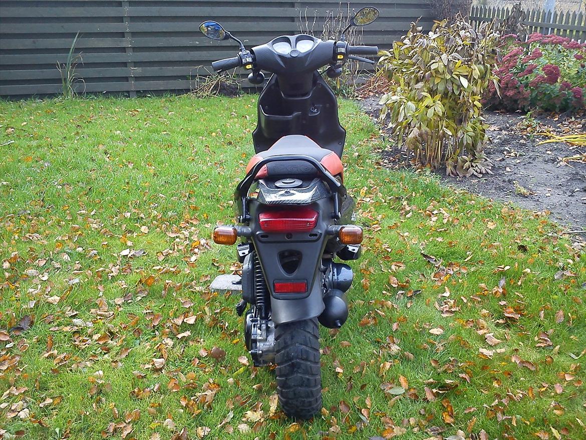 PGO PMX Sports / Naked billede 2