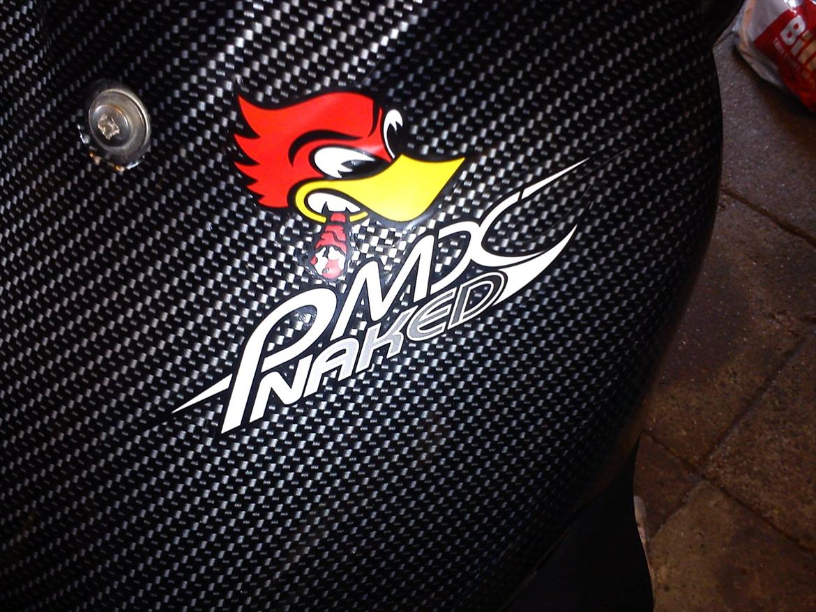 PGO PMX Sports / Naked billede 11
