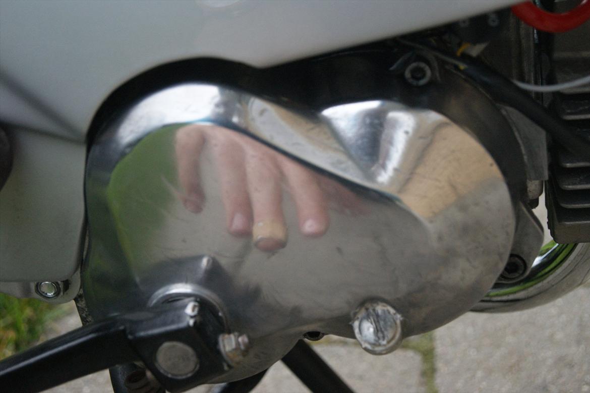 Puch Maxi P1  billede 13