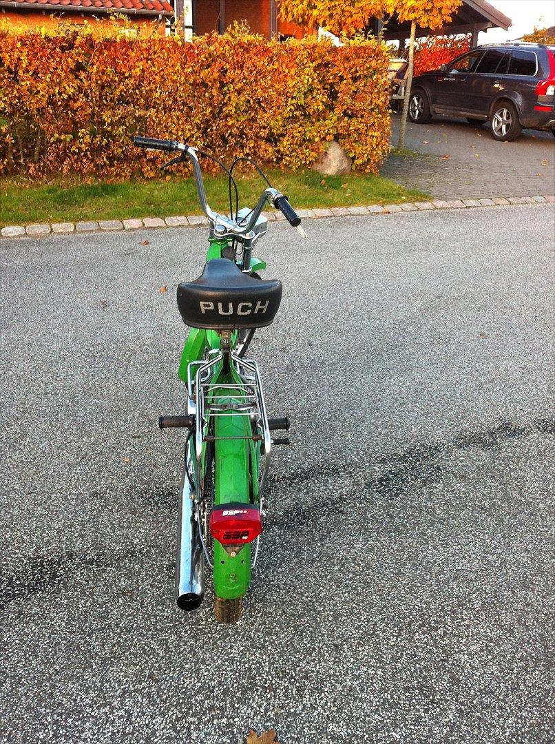 Puch Maxi k billede 5