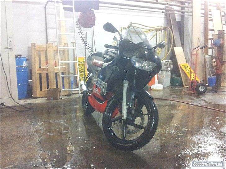 Aprilia RS 50 billede 2