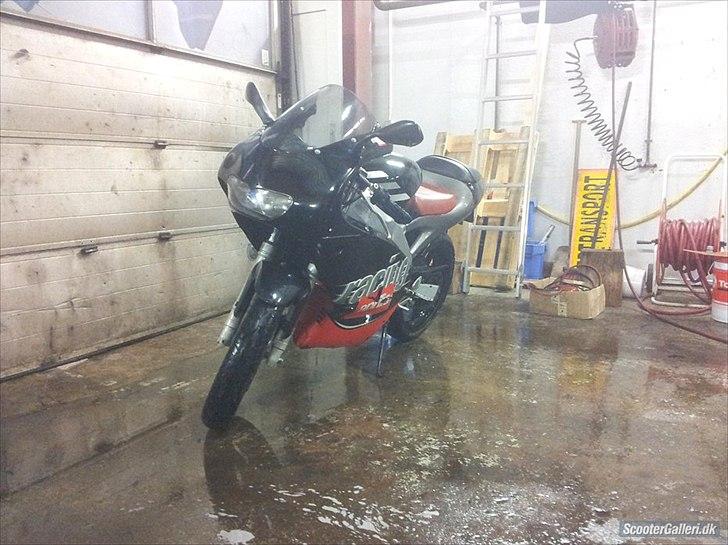 Aprilia RS 50 billede 3