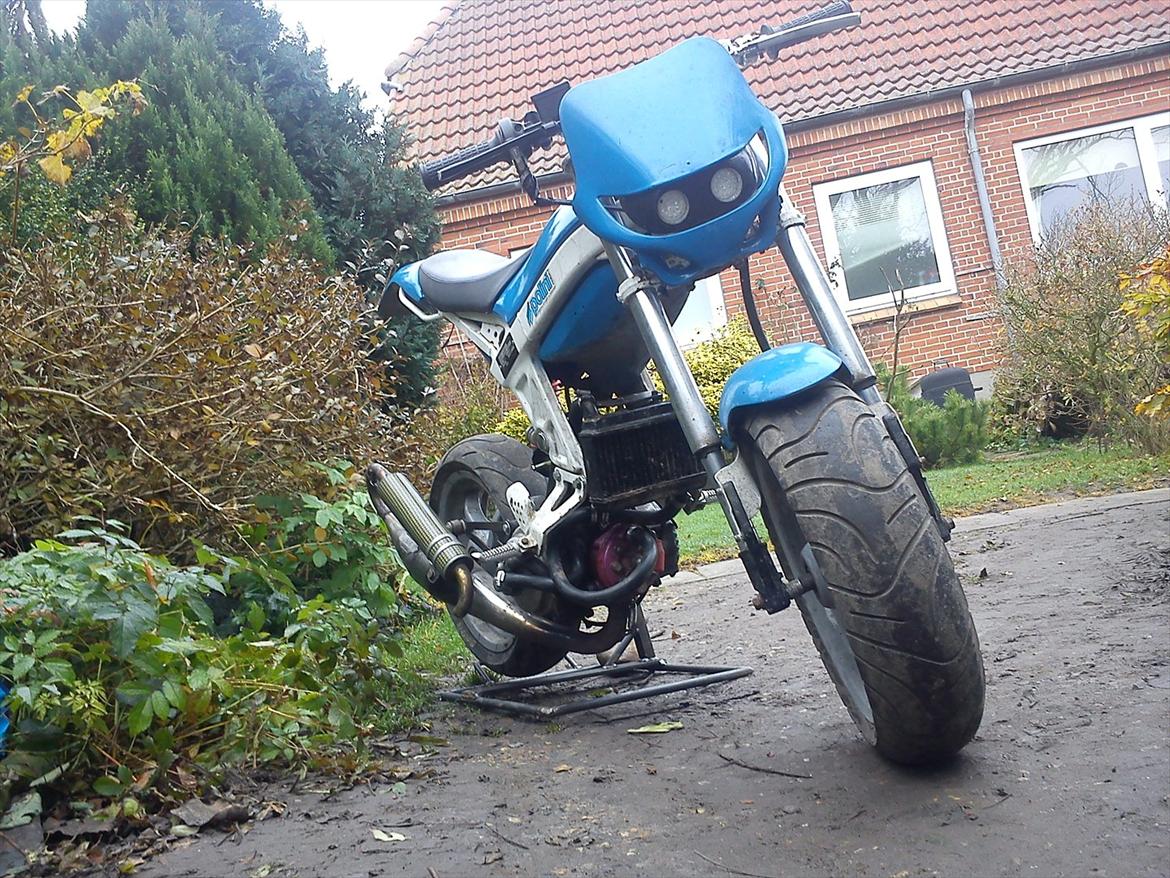 Suzuki street magic  billede 4