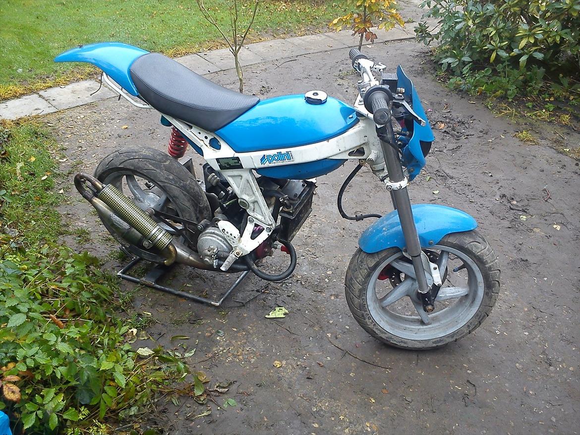 Suzuki street magic  billede 6