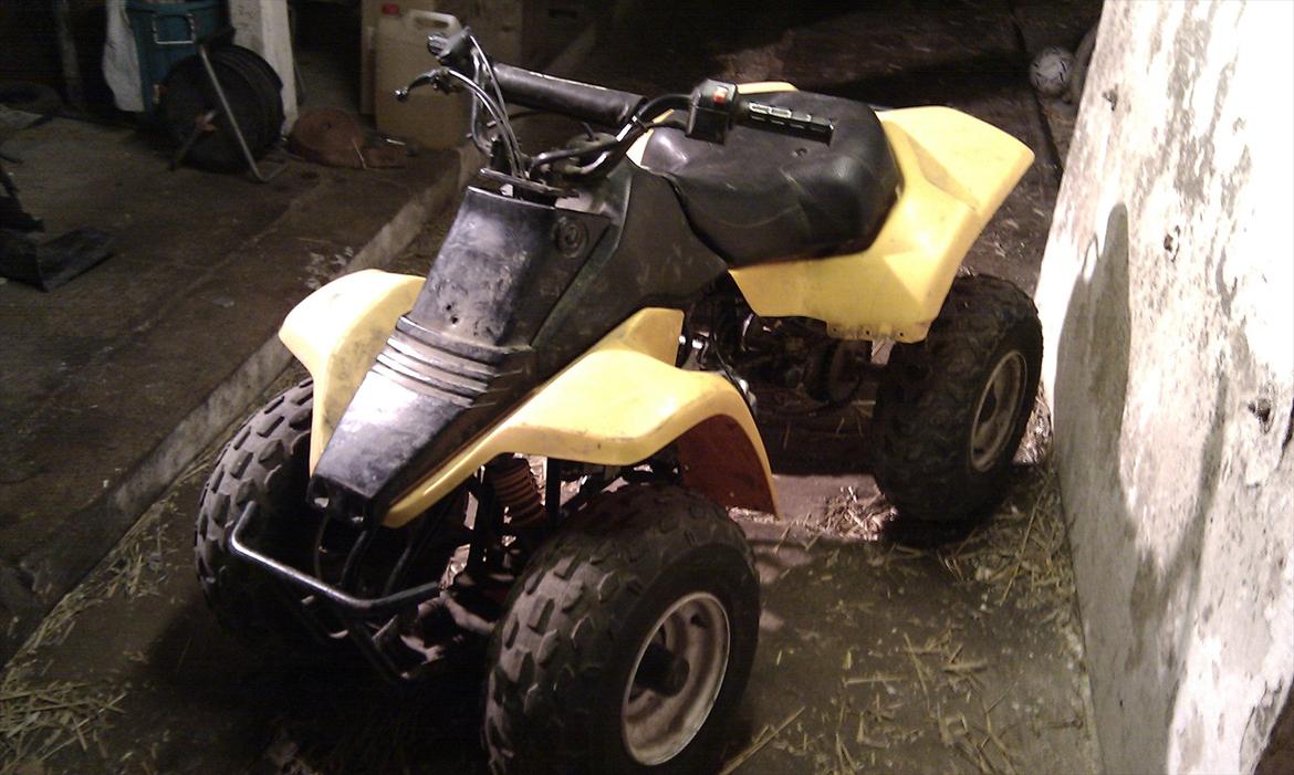 Kazuma meerkat 110cc  billede 1