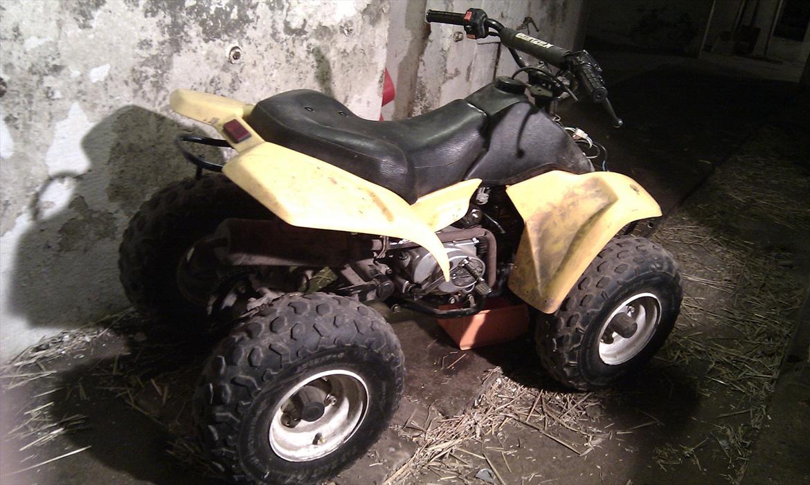 Kazuma meerkat 110cc  billede 3