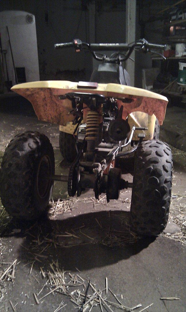 Kazuma meerkat 110cc  billede 4