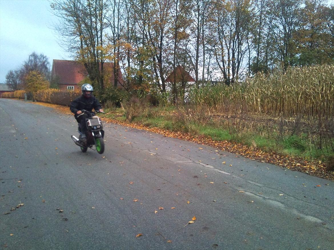 Aprilia Sonic GP duo ost (solgt) billede 9