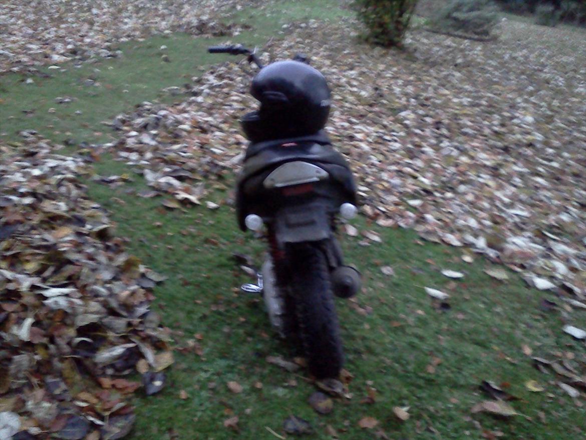 Aprilia Rally billede 3