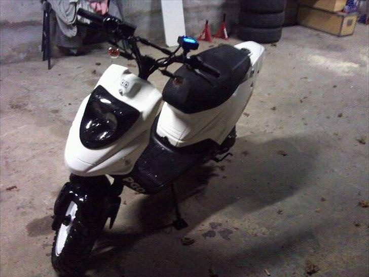 PGO Hot 50 Naked billede 6