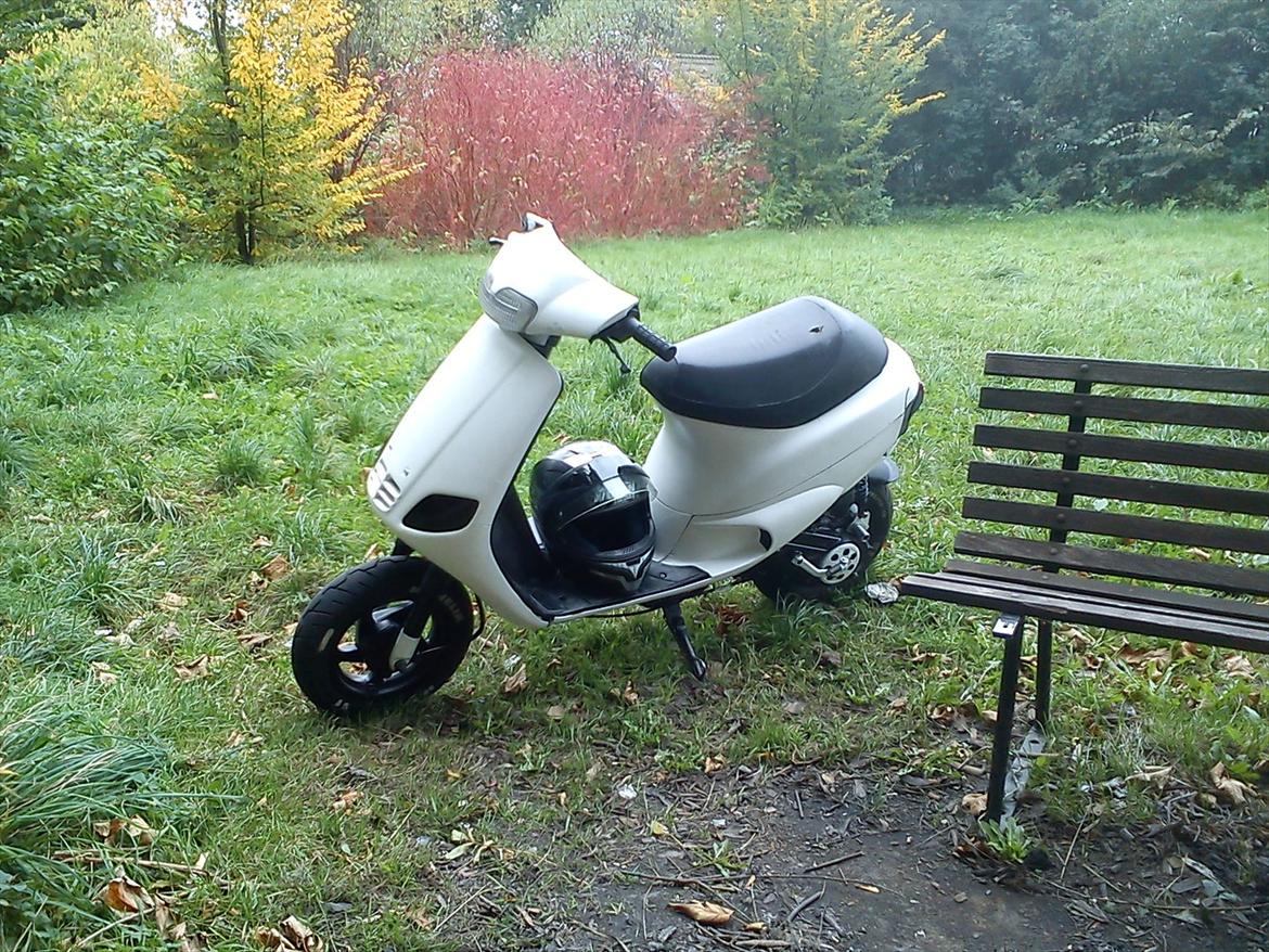 Piaggio Zip gl billede 7