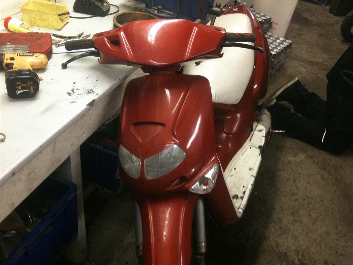 Aprilia rally hver dag  billede 6