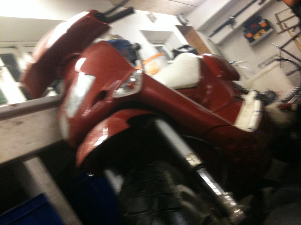 Aprilia rally hver dag  billede 7