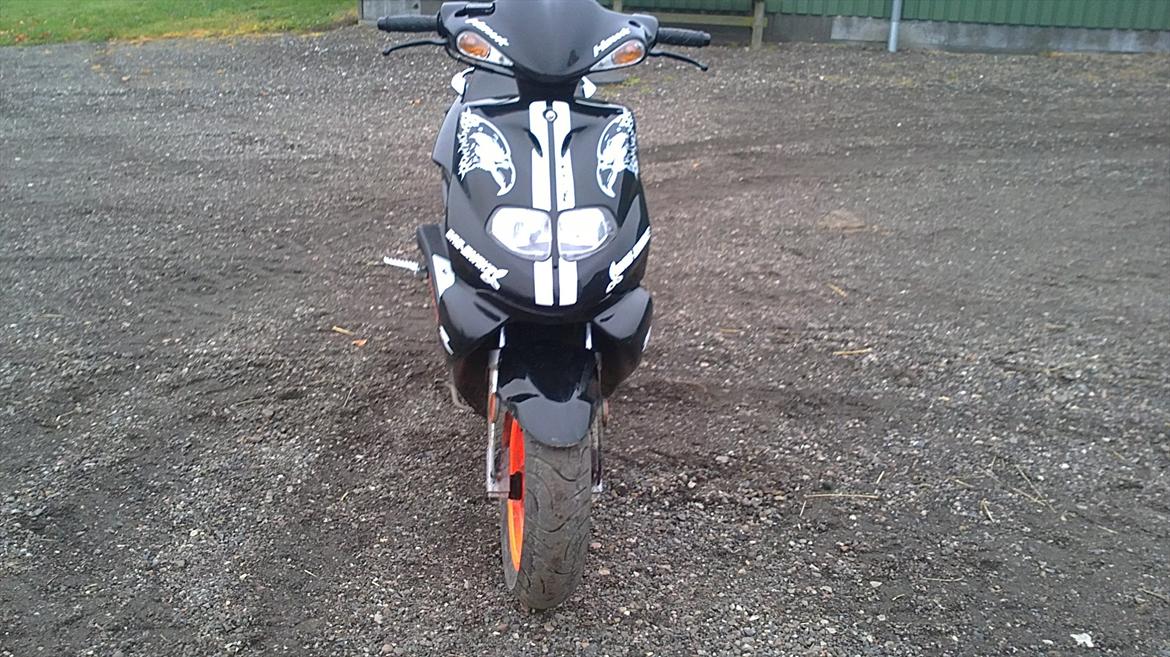 TGB Pegasus 303 r Hawk billede 10