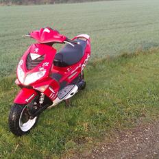 Peugeot SpeedFight 2 Wrc