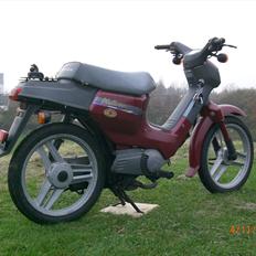 Honda Wallaro >S0LGT<