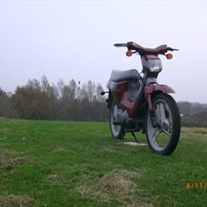 Honda Wallaro >S0LGT<