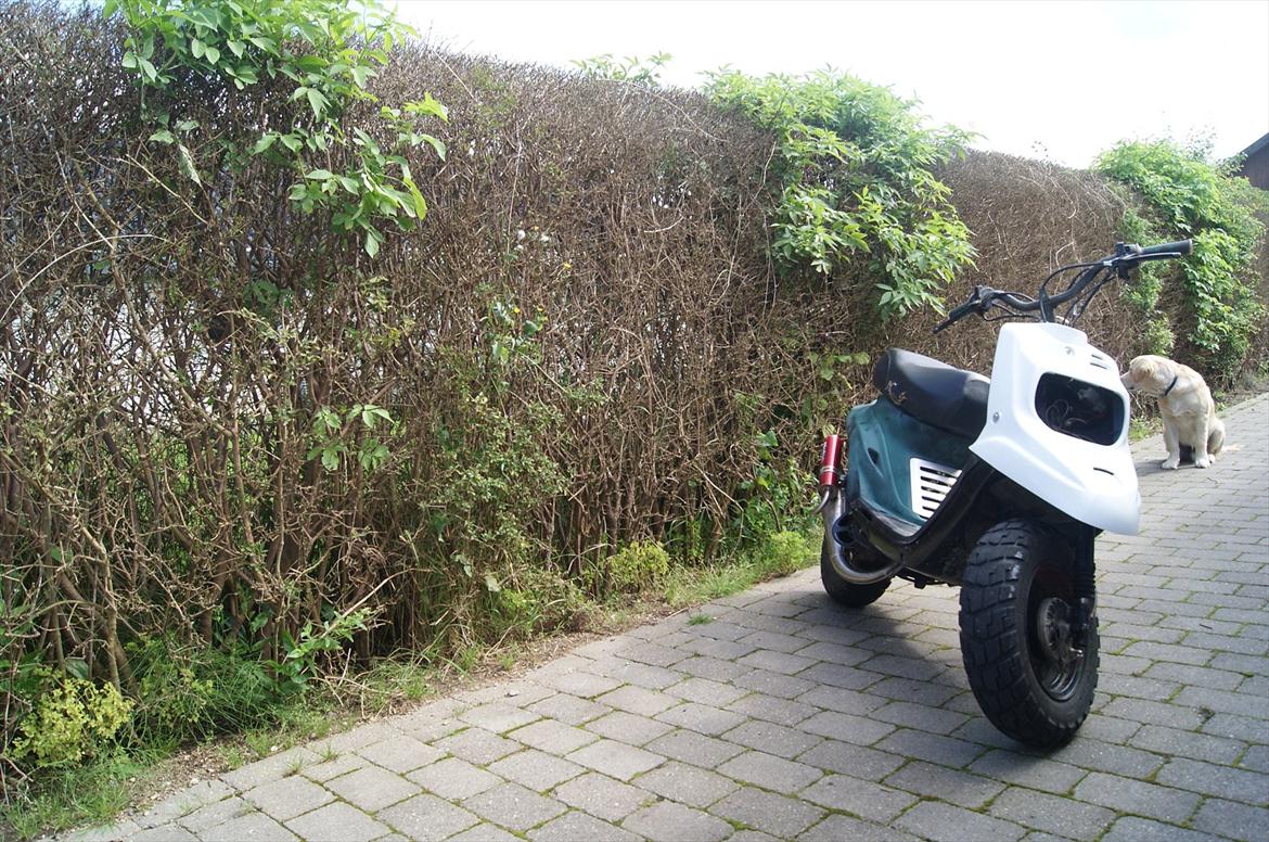 Yamaha Bws CW50 (booster) billede 2