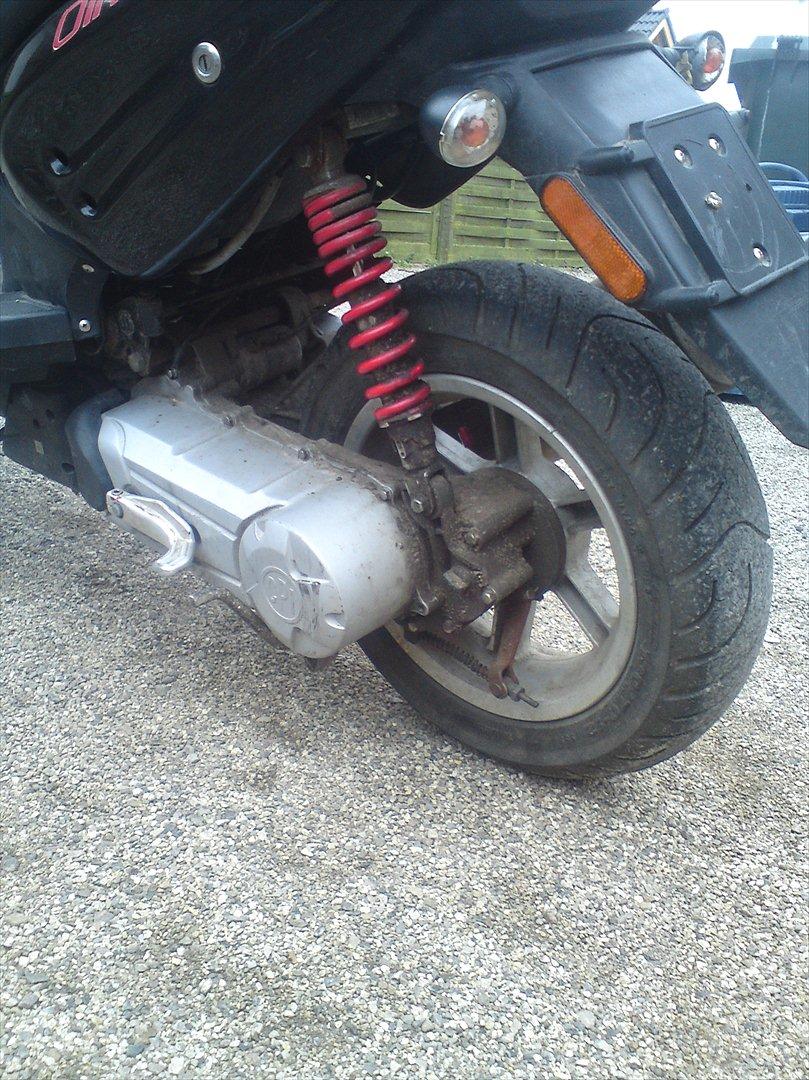 CPI olivor city  billede 10