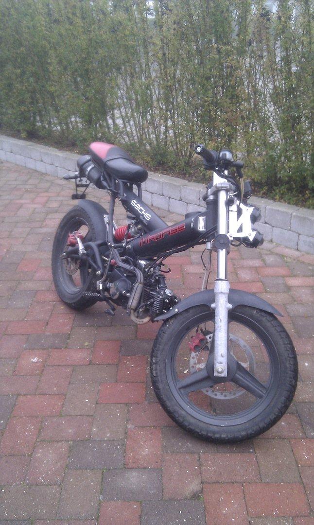 Sachs Madass billede 2
