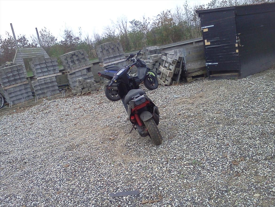 PGO Hot 50  billede 8