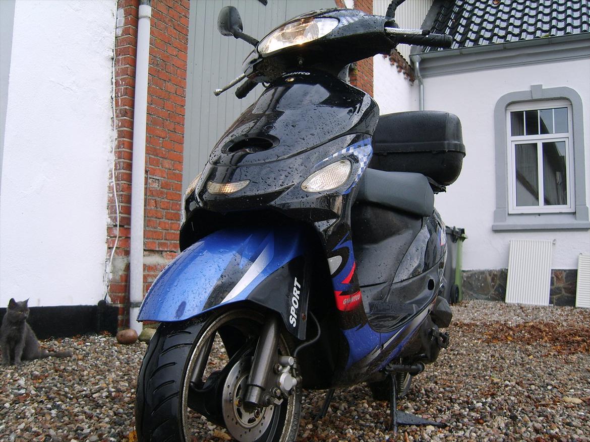 Giantco sprint "solgt" billede 7